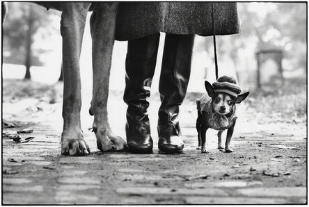 Elliott Erwitt, ‘New York City (dog legs)’, 1974