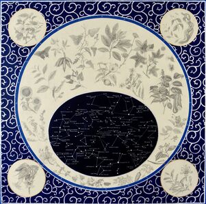 Adriana Bustos, ‘Historia de las cosas medicinales ( History of Medical Things)’, 2019