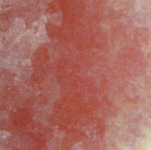 Angelina Pwerle, ‘Bush Plum 29-209’, 2009