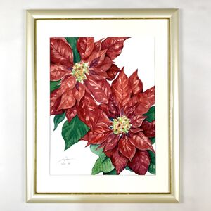 Infinity Artist NAO (インフィニティアーティストNAO), ‘Poinsettia’, ca. 2020