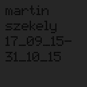 Martin Szekely, installation view