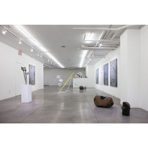 Vital Shift in Central Observer, installation view