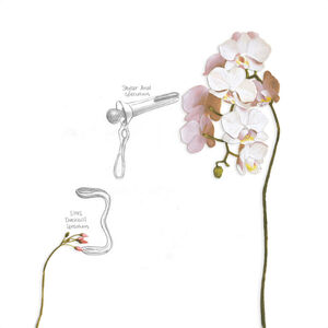 Nao Bustamante, ‘Bloom Speculum Suite’, 2021