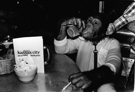 Anton Perich, ‘Monkey in Max’s Kansas City, New York’, 1973