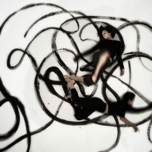 Shen Wei 沈伟 (b. 1968), ‘Connect Transfer II’, 2008