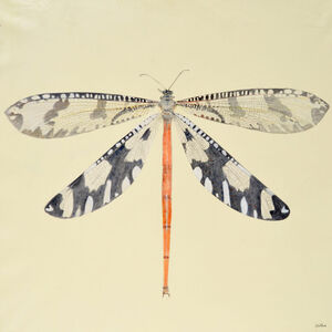 David W. M. Roberts, ‘Giant Ant Lion’, 2023