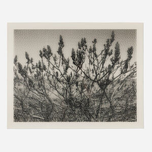 Roberto Pellegrinuzzi, ‘Constellation (Vinaigrier)’, 2009