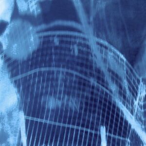 Caroline Savage, ‘Garden Mapping: Birdcage. San Anselmo, Marin County, CA’, 2007