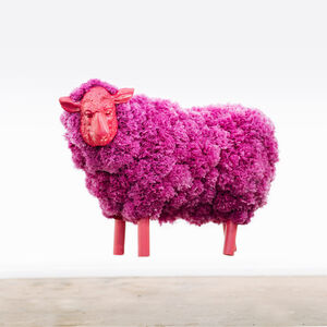 Coco Gang, ‘Pombaa - Purple Ram’, 2024