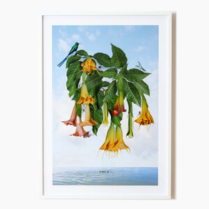 Naida Osline, ‘Borrachero (brugmansia), from the series Visionary Plants’, 2017