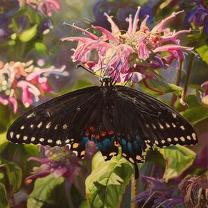 Jennifer Walton, ‘Black Swallowtail’, 2019
