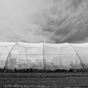 Steve Goldband, ‘551 Duncan 12:06’, 2019