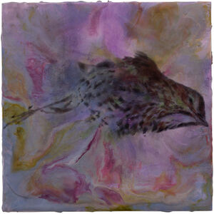 Noel Grunwaldt, ‘Wood Thrush’, 2016-2017