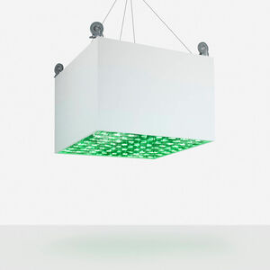 Guy Zagursky, ‘Brain on Wheels’, 2007