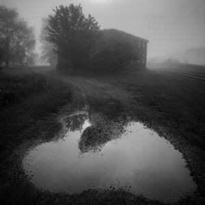 Elizabeth Greenberg, ‘Untitled’, 2017