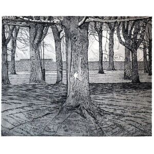 Tom Cubitt, ‘Sleeping Trees’, 2023