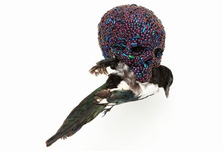 Jan Fabre, ‘Skull With Magpie’, 2001