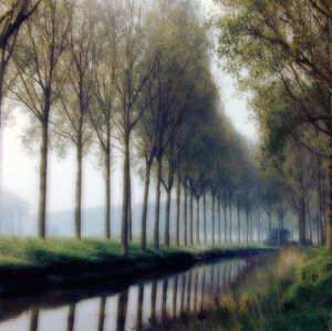 Lynn Geesaman, ‘Damme, Belgium (5-95-26c-9’, 1995