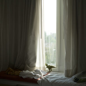 Hiroshi Watanabe, ‘The Day The Dam Collapses #60 (T-Rex)’, 2013