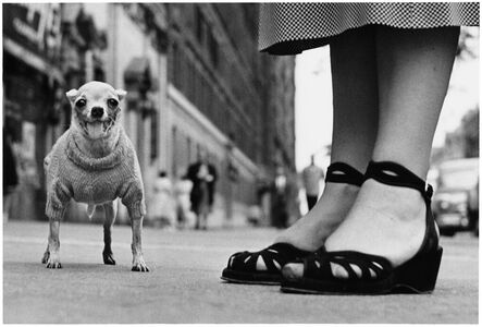 Elliott Erwitt, ‘New York City, 1946 (dog with feet)’, 1946-Printed Later