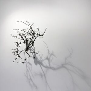 Javier Pérez | Night Currents, installation view