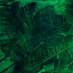 Alfons Alt, ‘Rameaux (Guyana)’, 2018