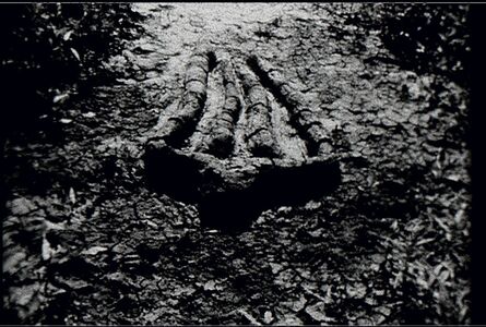 Ana Mendieta, ‘Still from Untitled (Gunpowder Silueta Series)’, 1981