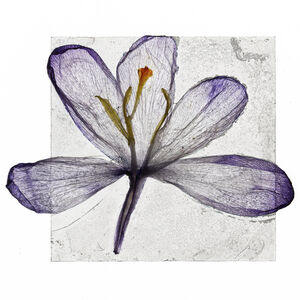 Brigitte Lustenberger, ‘We passed the setting sun’, 2019