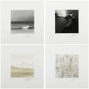 Giles Norman, ‘Birds | Waterweeds | Dingle Wave| Wave’, 1997; 1997; 1998; 1996