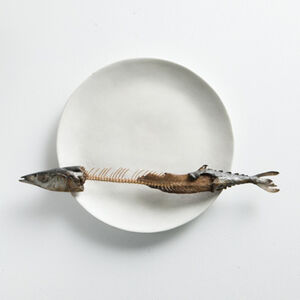 Fuyuki Maehara, ‘Ikkoku -a saury on plate-’, 2014