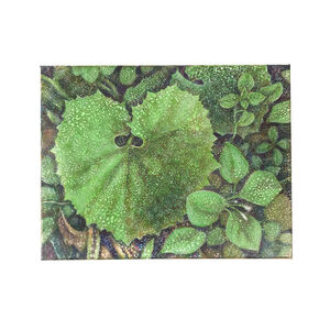 Masaki Maeda (前田 昌樹), ‘Loiter on the Way 22022801’, 2022