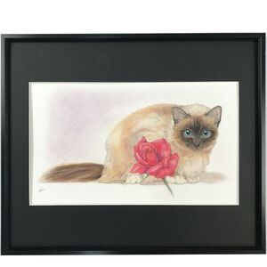 Chiharu Ashida (あしだ ちはる), ‘A Rose and a Persian cat’, 2020