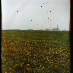 Dianne Bos, ‘Flanders Fields Belgium’, 2014