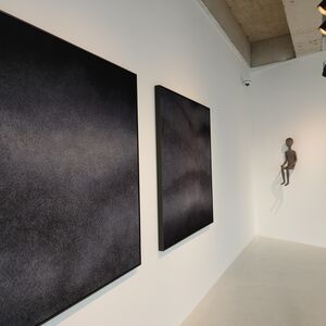Black, and White : The color of silence, installation view