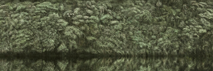 A picturesque voyage through Brazil # 187