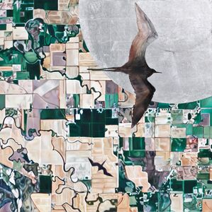 Pia Dehne, ‘Case File A5, Category Birds and Reflections’, 2013