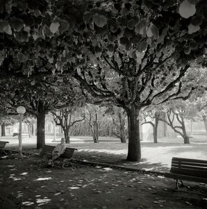 Garie Waltzer, ‘Park Coimbra’, 2005