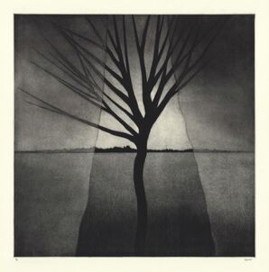 Robert Kipniss, ‘Landscape w/curtains & crooked tree.’, 2016