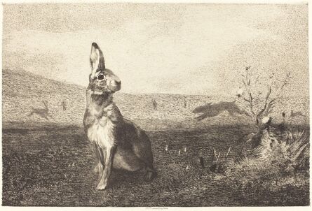 Félix Bracquemond after Albert de Balleroy, ‘The Hare’, ca. 1860