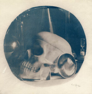 Stephane Graff, ‘Skull in sphere’, 1996