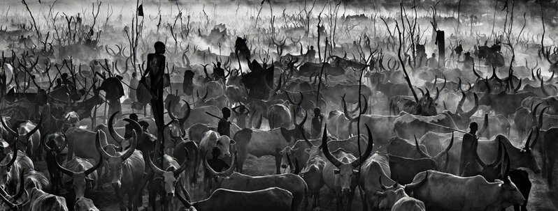 David Yarrow, ‘Mankind II (Black and White)’, 2015, Photography, Archival Pigment Print, Hilton Contemporary