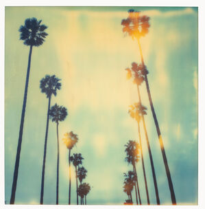 Palm Trees on Wilcox - sold out Edition of 10, Artist Proof 2/2 (last) - analog