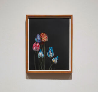 Matthew McConville • Flowers for the Anthropocene, installation view