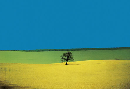 Franco Fontana, ‘Puglia’, 1987