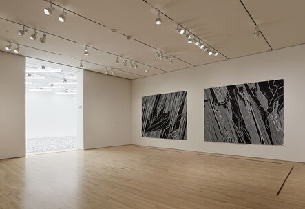 ‘Installation view "Field Conditions", 2012’