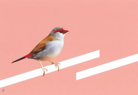 Richard Hughes, ‘Red browed finch on pink’, 2021
