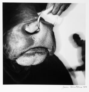 Xavier Lambours, ‘Untitled’, 1988