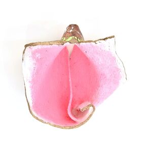 Kianja Strobert, ‘TBT’, 2018-2019