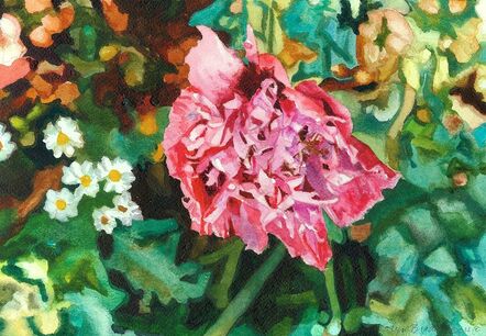 Carolyn Brady, ‘Violet Pink Garden Poppy’, 2004