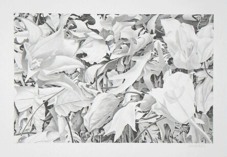 Bill Richards, ‘Hudson River Park #7, Three Flowers’, 2007
